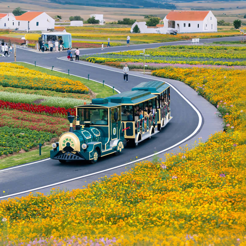 Custom Electric Amusement Trains | High-Quality Trackless Train Supplier