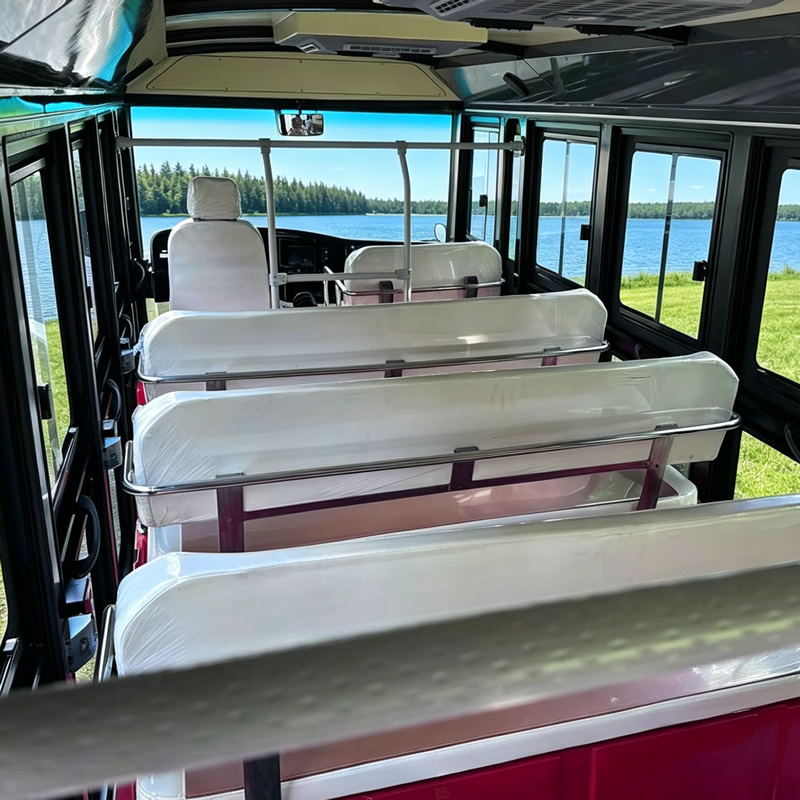 Electric Sightseeing Enclosed Mini Bus