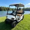 Custom Mimi Electric Golf Cart Buggy Off Road With Box