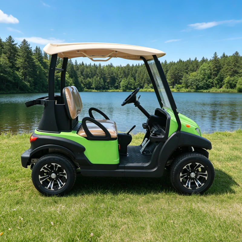 High Quality 2 Seater Mini Electric Battery Golf Cart - Eagle