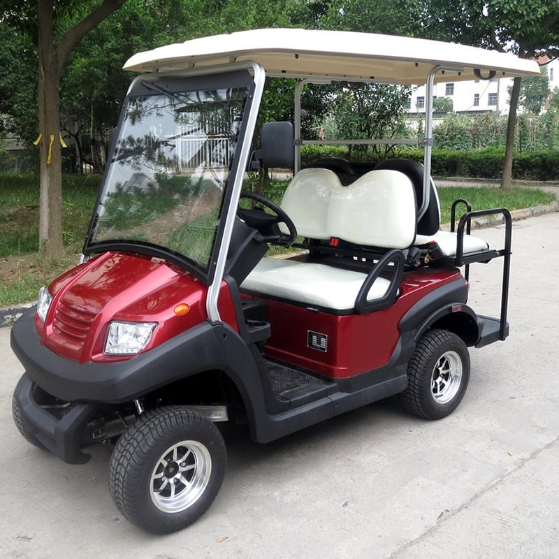 Best ev golf cart buggy - EG202AKSF