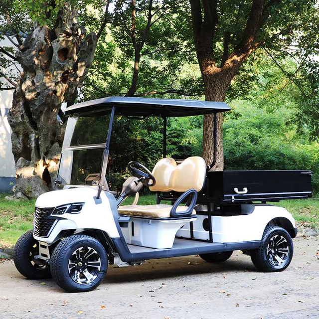 Utility golf carts buggy with cargo box EG204EHCX