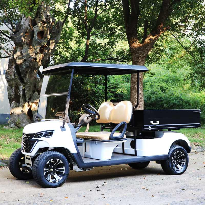 Utility golf carts buggy with cargo box EG204EHCX
