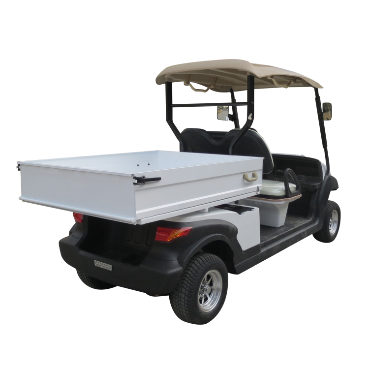 2 seater utility electric golf cart with box - EG204AHCX