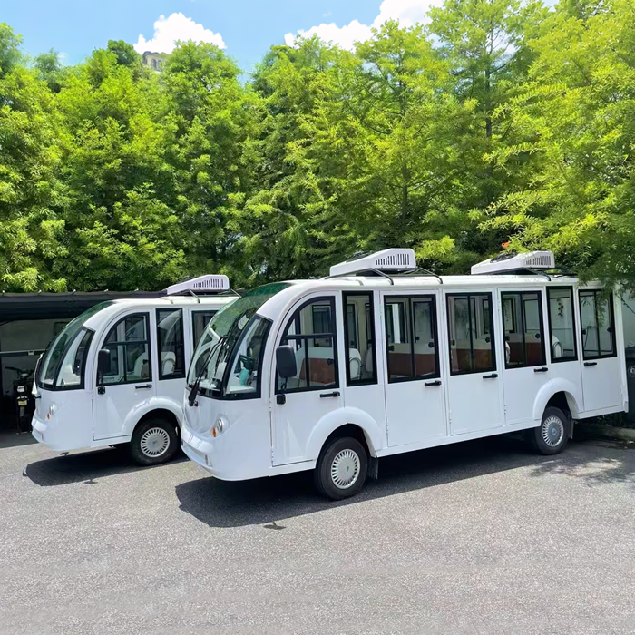 sightseeing bus car