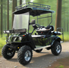 Custom Off Road Golf Cart123 - EG2020ASZ