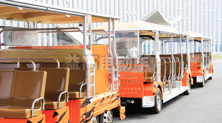 electric bus sightseeing (3)