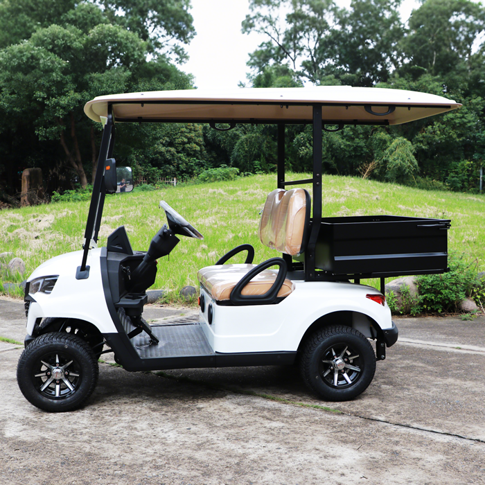 Mini Electric Golf Buggy Carts with Cargo Dump Bed - EG202EH
