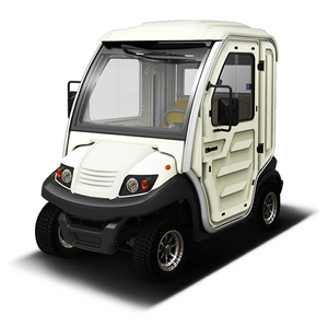 Mini Electric Enclosed Golf Car Cart Manufacturer - EG202AKR