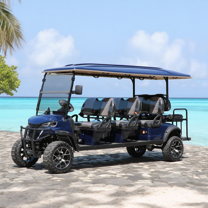 Custom Electric Lithium 6+2 8 Seater Passenger Golf Cart - EG206DKSZ