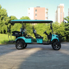 Wholesale Custom Lithium Electric Lifted Carts Golf Cart 6 Seater 