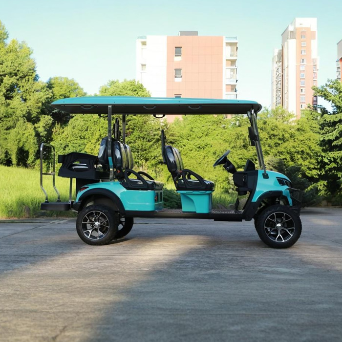 Wholesale Custom Lithium Electric Lifted Carts Golf Cart 6 Seater 