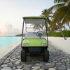 48V 4 Seater LSV Golf Cart Golf Buggy Carts Manufacturer - Eagle Golf Cart