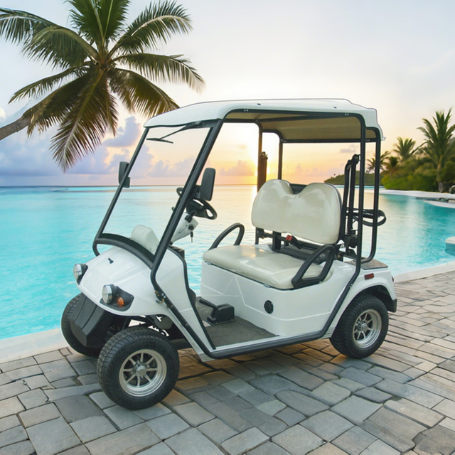Custom Electric Street Legal Golf Carts Buggy