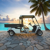 Custom Electric Street Legal Cargo Golf Carts with Box