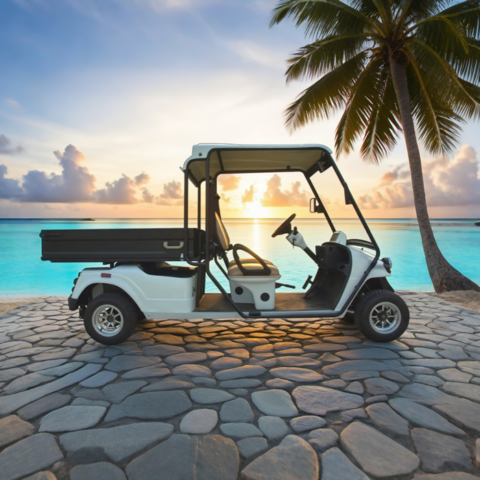 Custom Electric Street Legal Cargo Golf Carts with Box