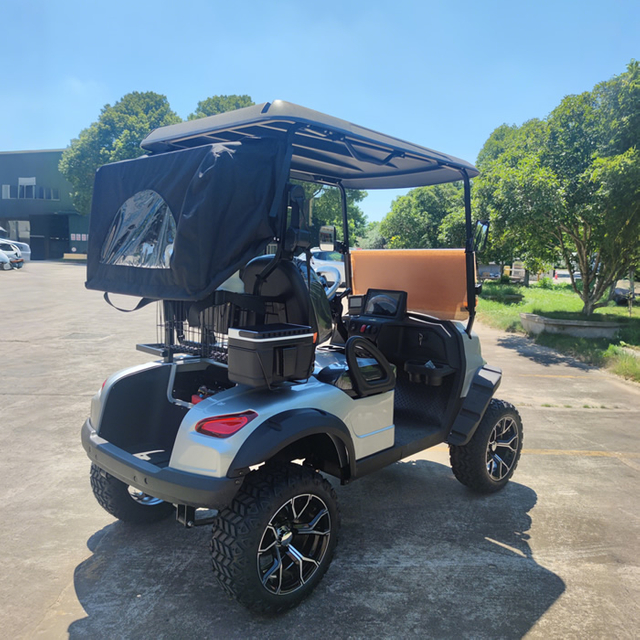 Custom 2 Person Electric Golf Cart