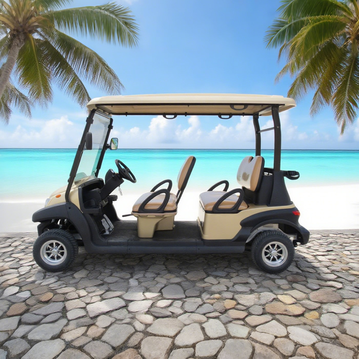 4 Seater Golf Carts Wholesale Wholesale Manufacturer - EG204AK