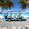 Custom OEM ODM 8 Seater Electric Sightseeing Bus Manufacturer