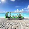 Electric Sightseeing Cars Wholesale Manufacturer