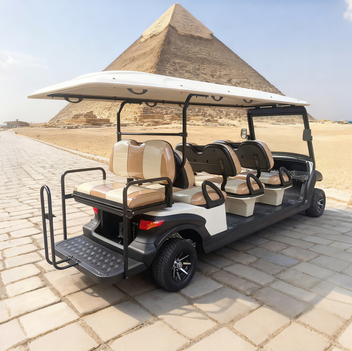 Eight 8 Passenger Person Seater Electric Buggy Golf Carts for Sale - EG206AKSZ