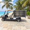 Food And Beverage Delivery Truck Golf Cart for Sale