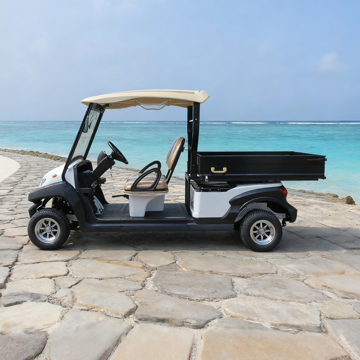 Custom Golf Cart Utility Bed with Cargo Box For Sale