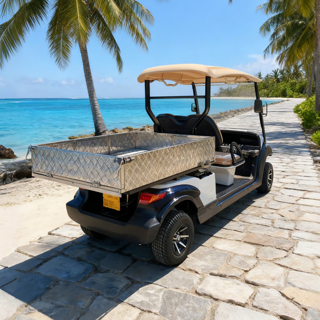 Electric Golf Cart Utility Cargo Bed Box For Sale