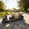 Custom Wholesale Disabled Utility Handicapped Golf Cart Manufacturer 