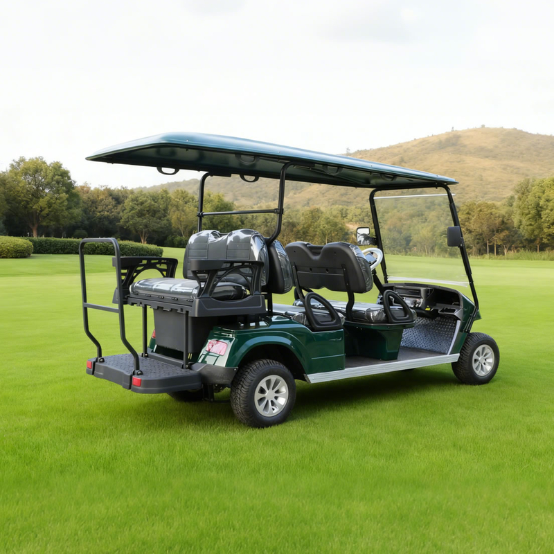 OEM ODM Chinese 48v Electric Custom Lithium Battery 6 Seater Golf Cart