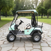 Wholesale Chinese 48V 2 Seat Off Road Golf Cart Manufacturer