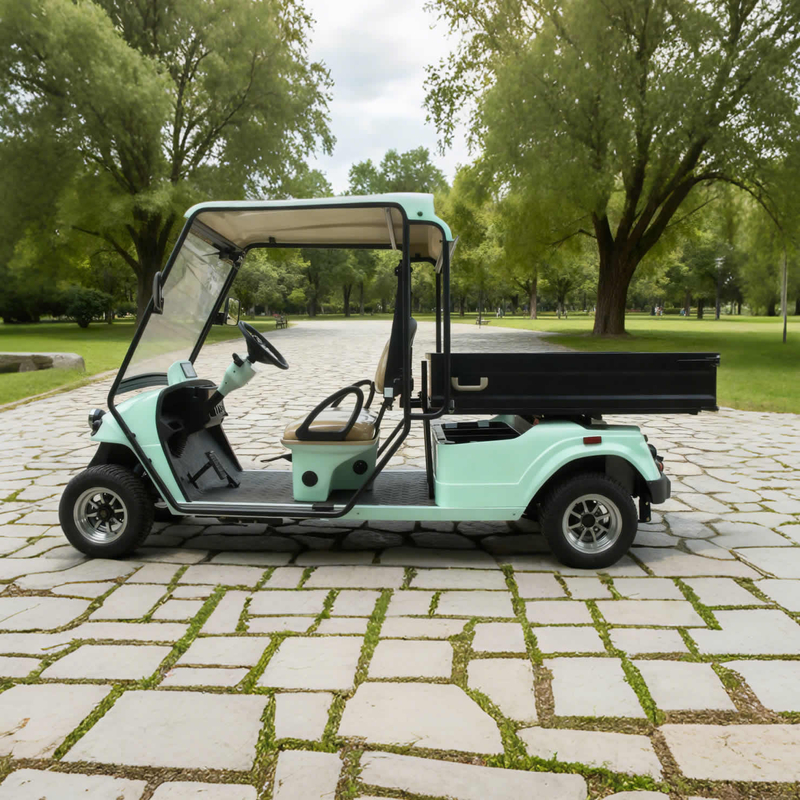 Custom Electric Street Legal Cargo Golf Carts with Box