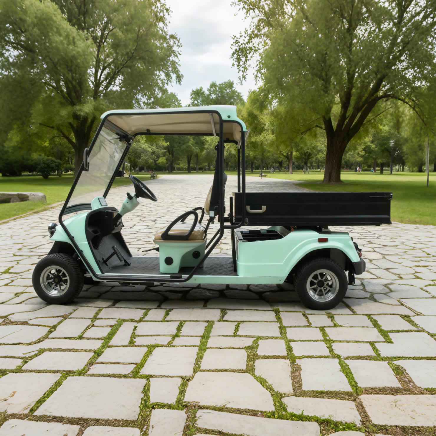 Custom Electric Street Legal Cargo Golf Carts with Box