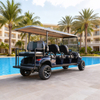 Custom Electric Lithium 6+2 8 Seater Passenger Golf Cart 