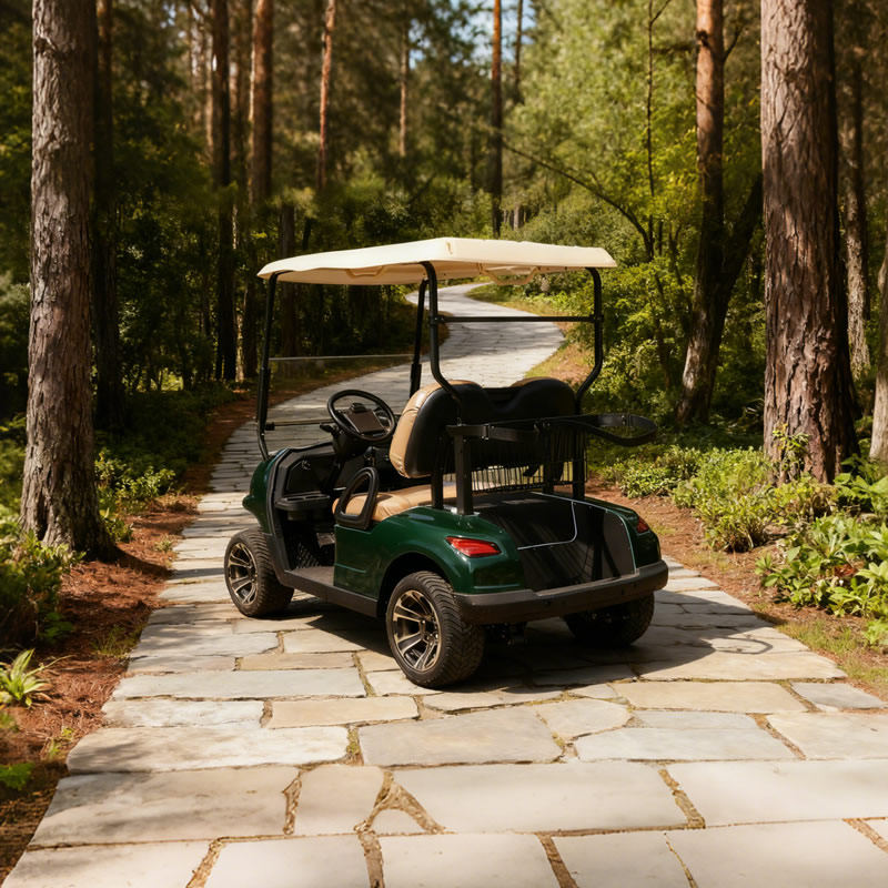 Chinese 2 seat electric mini golf cart