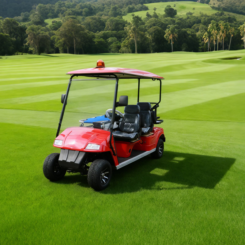 Custom Electric Vehicle Ambulance Golf Cart with Bed