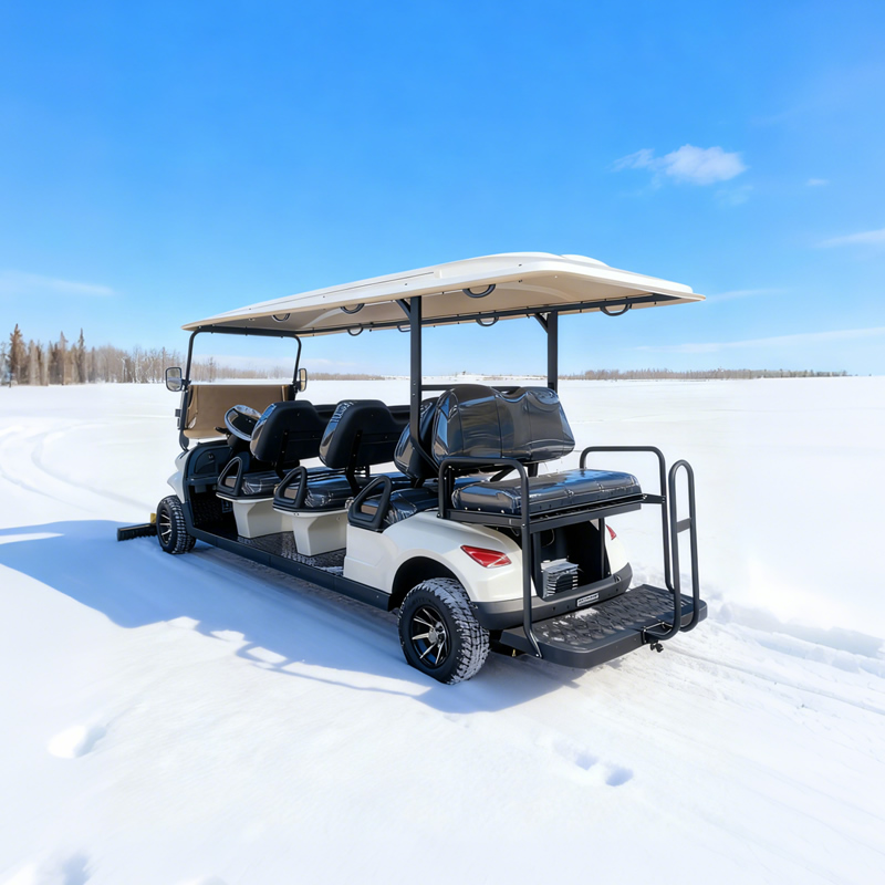 Wholesale Electric 8 Seater Golf Cart Manufacturer