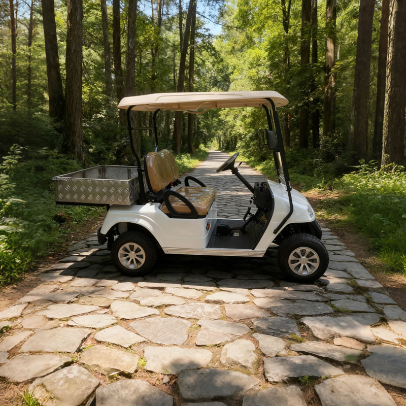 Golf Cart Aluminum Cargo Box with Stainless Steel Frame - EG2028H