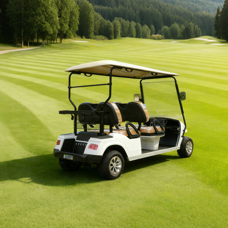 Custom High Quality Color Electric Lithium Battery Golf Cart for Sale