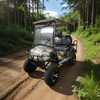 Custom 4 Seater Utility Vehicle Electric Buggy Off Road 