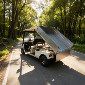 Golf Cart with Stainless steel Cargo Dump Bed