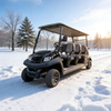 Top Manufacturer & Supplier of 6 Seater Golf Carts Prices - Eagle Golf Cart