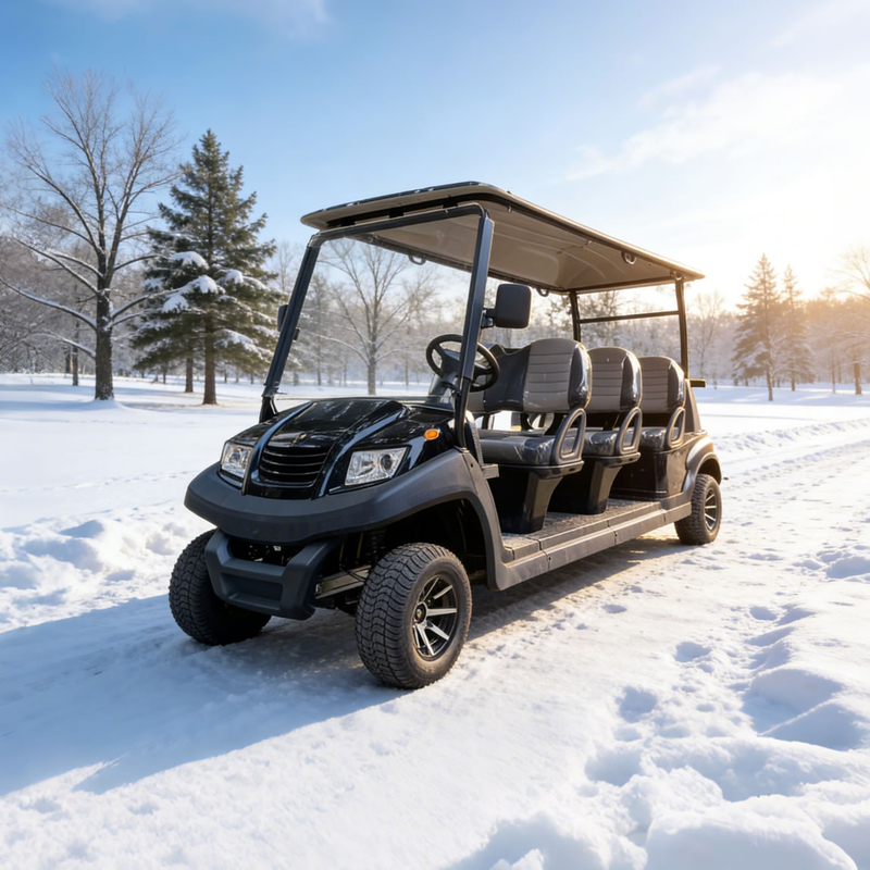 Top Manufacturer & Supplier of 6 Seater Golf Carts Prices - Eagle Golf Cart