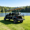 Custom Electric Lithium 6+2 8 Seater Passenger Golf Cart