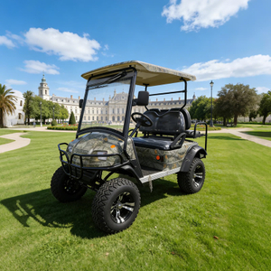 Custom 4 Seater Utility Vehicle Electric Buggy Off Road