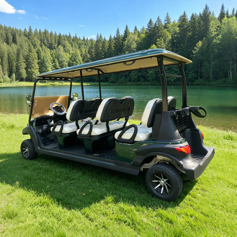 Carros Palos De Golf Electricos Nuevos Chinos Republica Dominicana Personalizados - Eagle Golf Cart