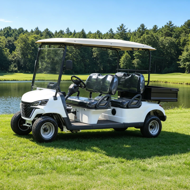 48v 4 seater golf cart with cargo box - Eagle Golf Cart