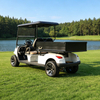 Utility Golf Carts Buggy with Cargo Box - Eagle Golf Cart