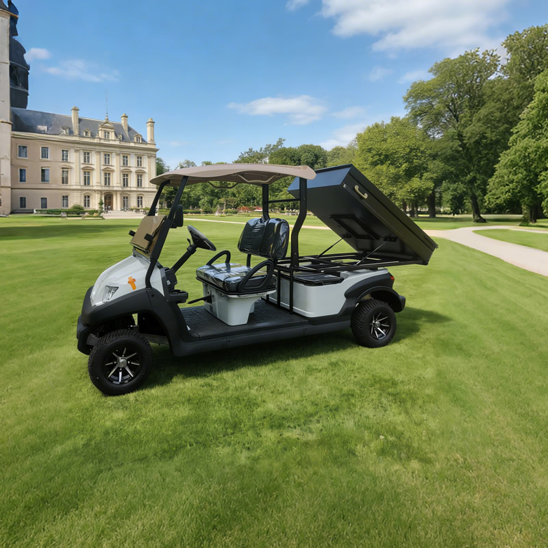 Custom Golf Cart Utility Bed with Cargo Box For Sale