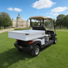 2 seater utility electric golf cart with box